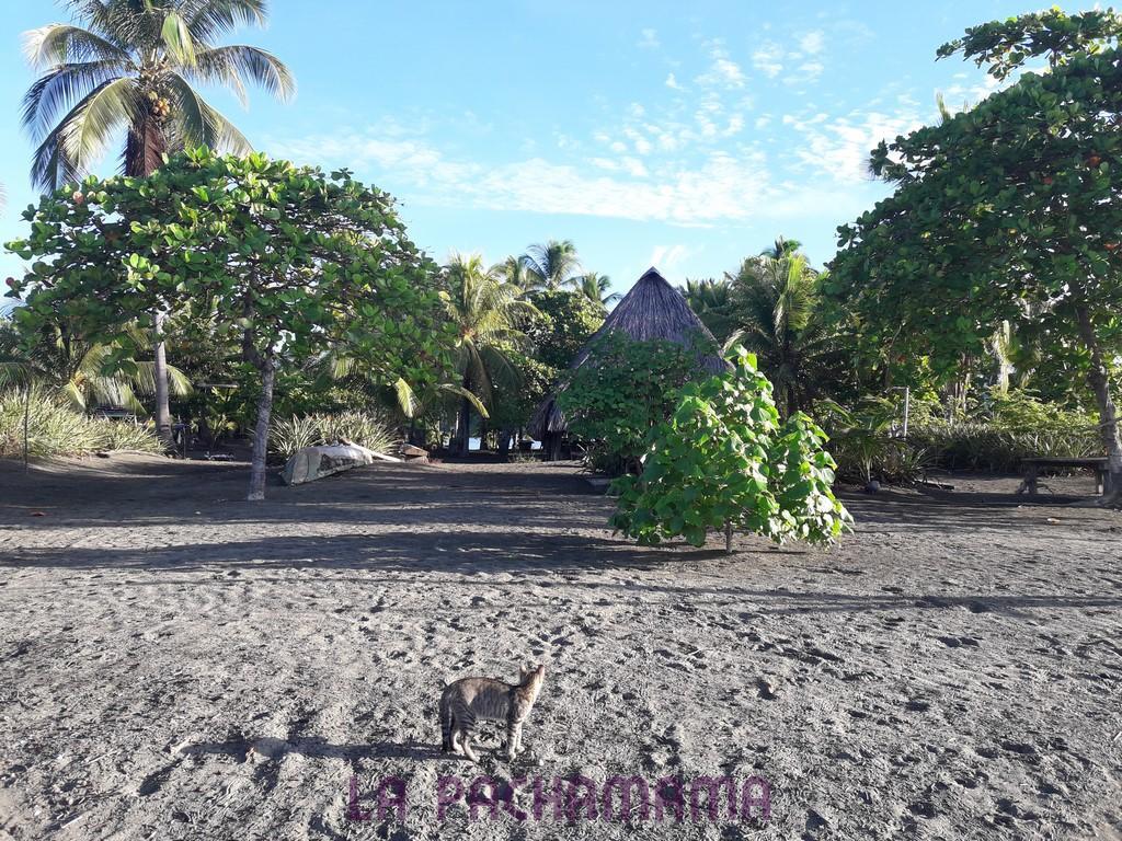 Hostal Pachamama Isla de Canas Exterior photo